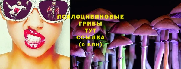 крисы Алексеевка