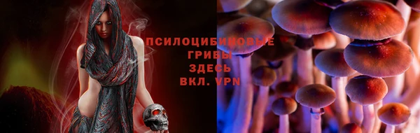 COCAINE Алзамай