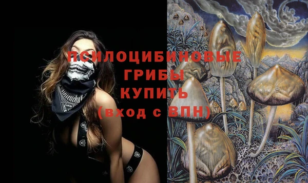 твердый Алексин