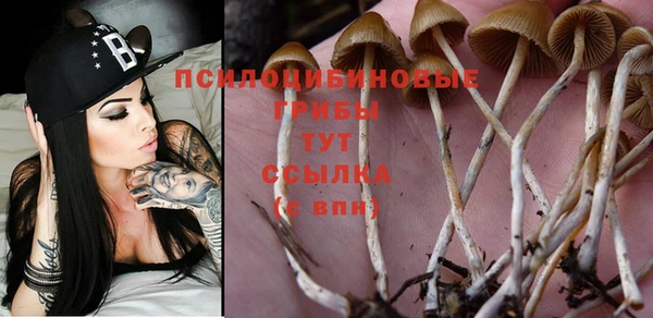 COCAINE Алзамай