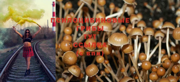 крисы Алексеевка