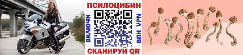 Псилоцибиновые грибы прущие грибы  Плавск 